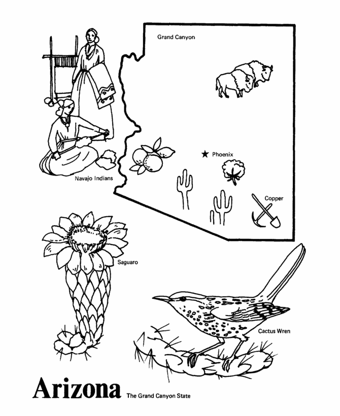  Arizona State outline Coloring Page
