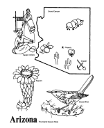 Arizona coloring page