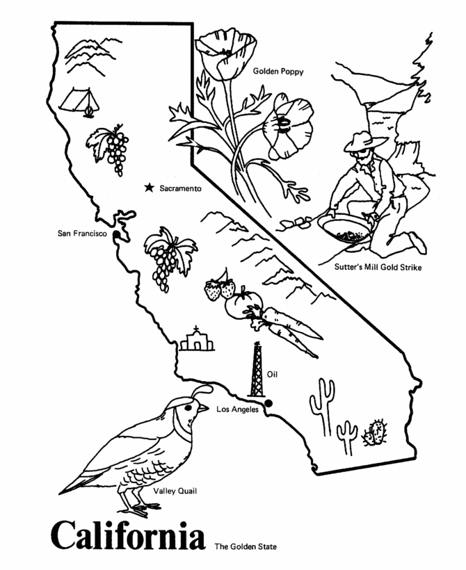 Map Of California Universities. USA Flag California Map