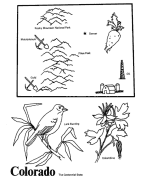 Colorado coloring page