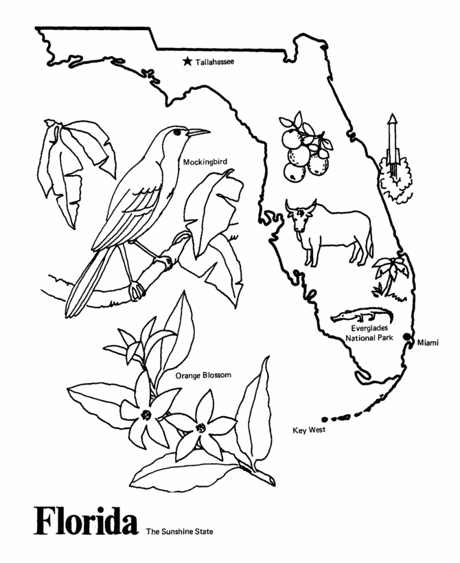 florida map outline. Florida State outline Coloring