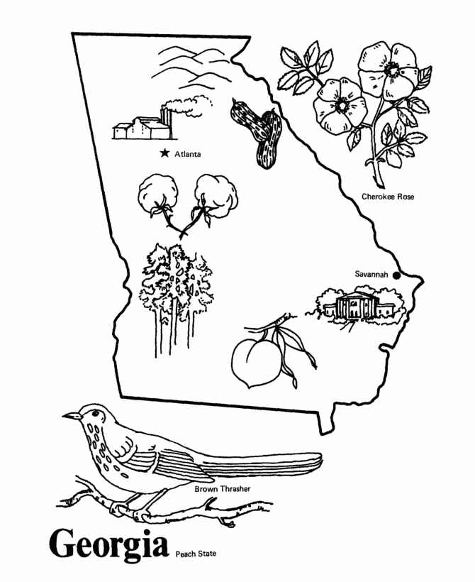  Georgia State outline Coloring Page