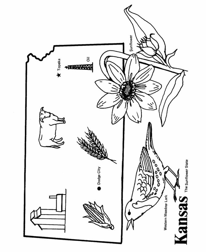  Kansas State outline Coloring Page