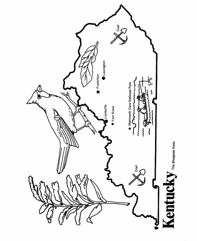  Kentucky State outline Coloring Page