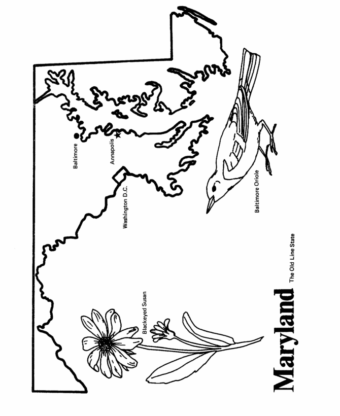  Maryland State outline Coloring Page