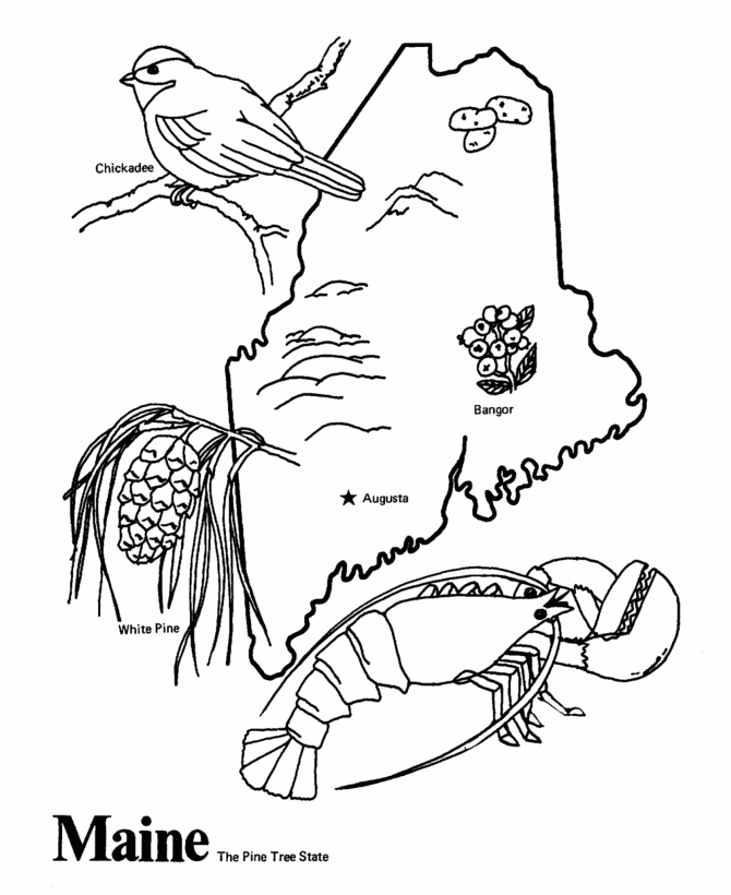  Maine State outline Coloring Page