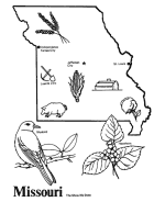 Missouri state outline coloring page