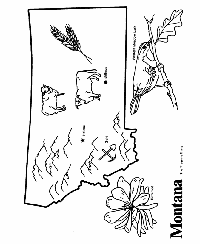  Montana State outline Coloring Page