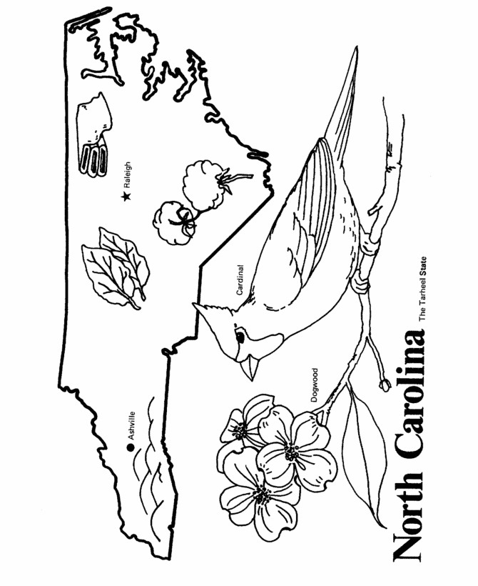  North Carolina State outline Coloring Page