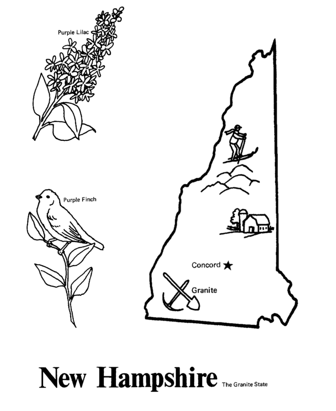  New Hampshire State outline Coloring Page