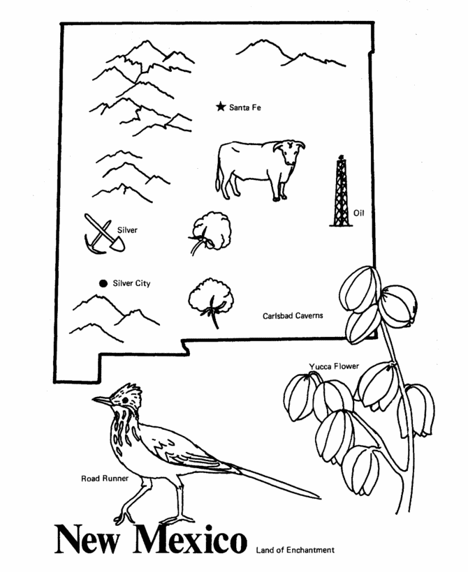 mexico state flower coloring pages