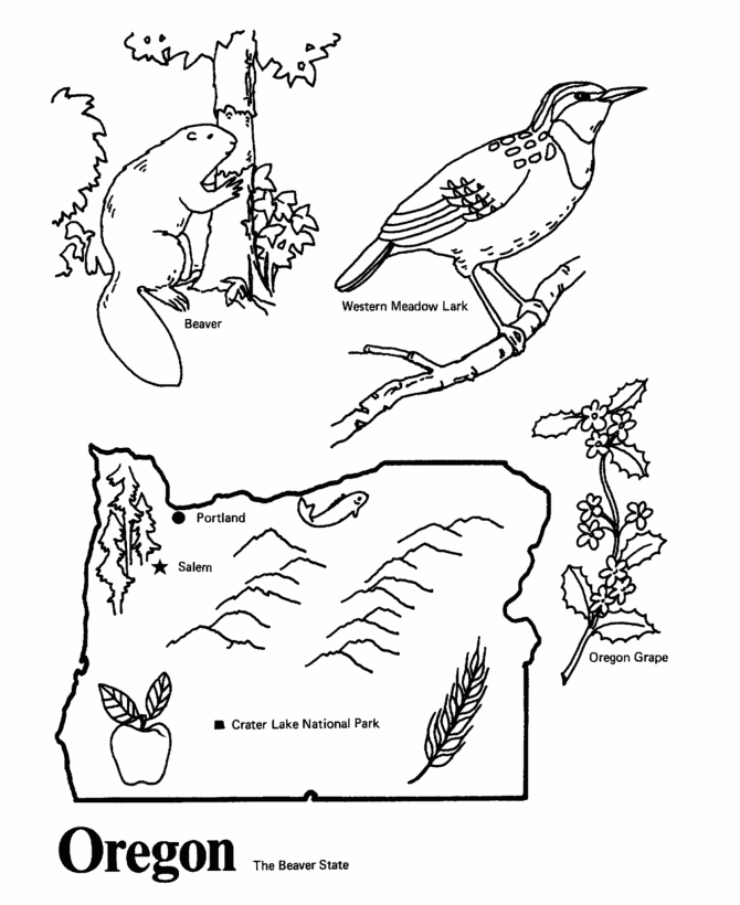  Oregon State outline Coloring Page