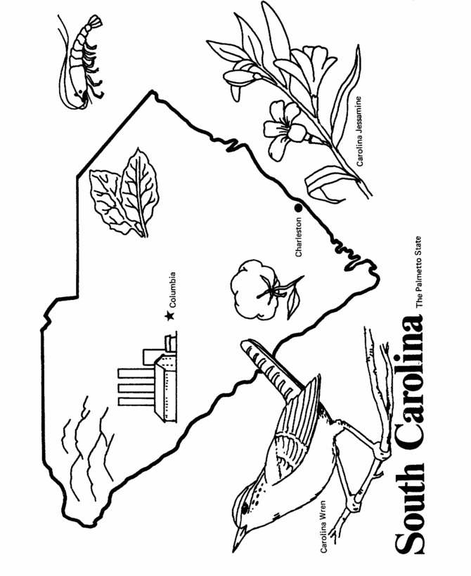  South Carolina State outline Coloring Page