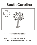 South Carolina state flag coloring page