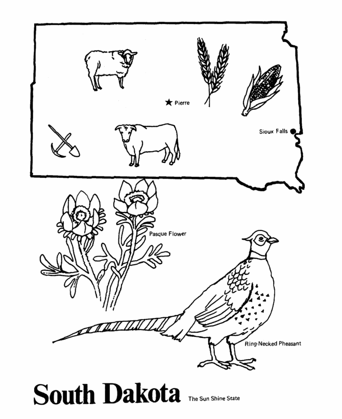  South Dakota State outline Coloring Page