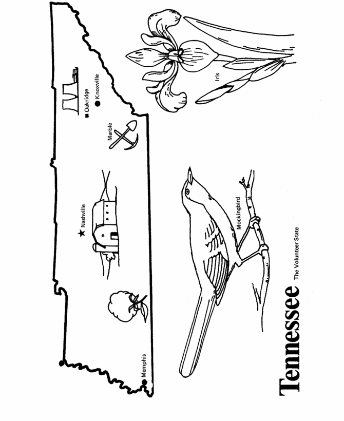  Tennessee State outline Coloring Page