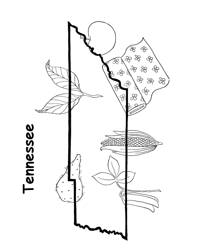  Tennessee State outline Coloring Page