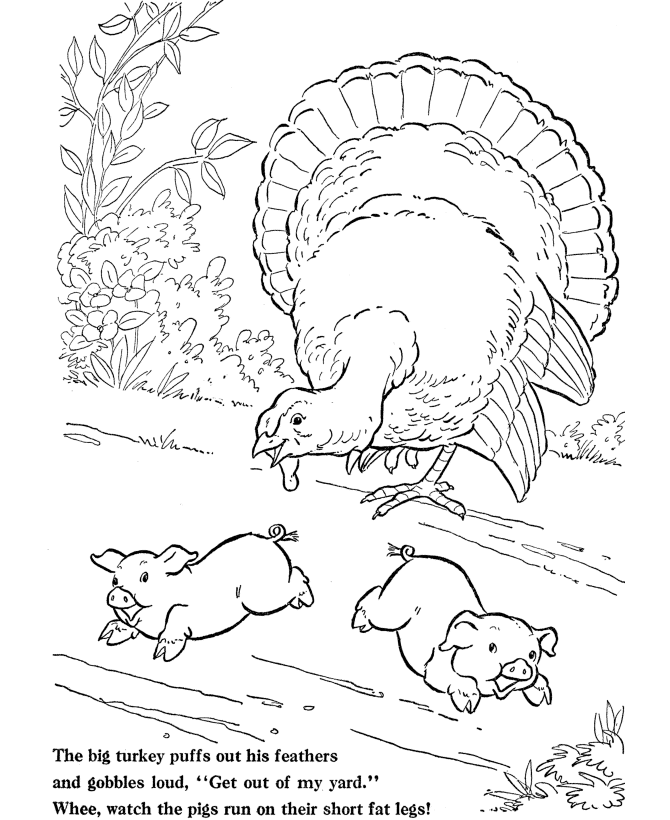  BarnYard Turkey Coloring Page