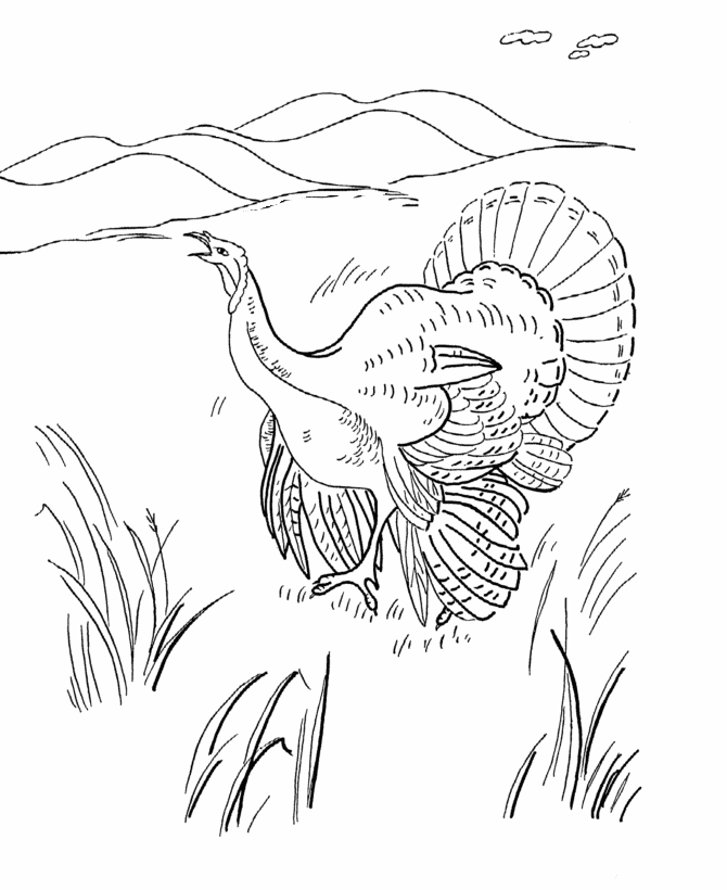  Thanksgiving Turkey Coloring Page