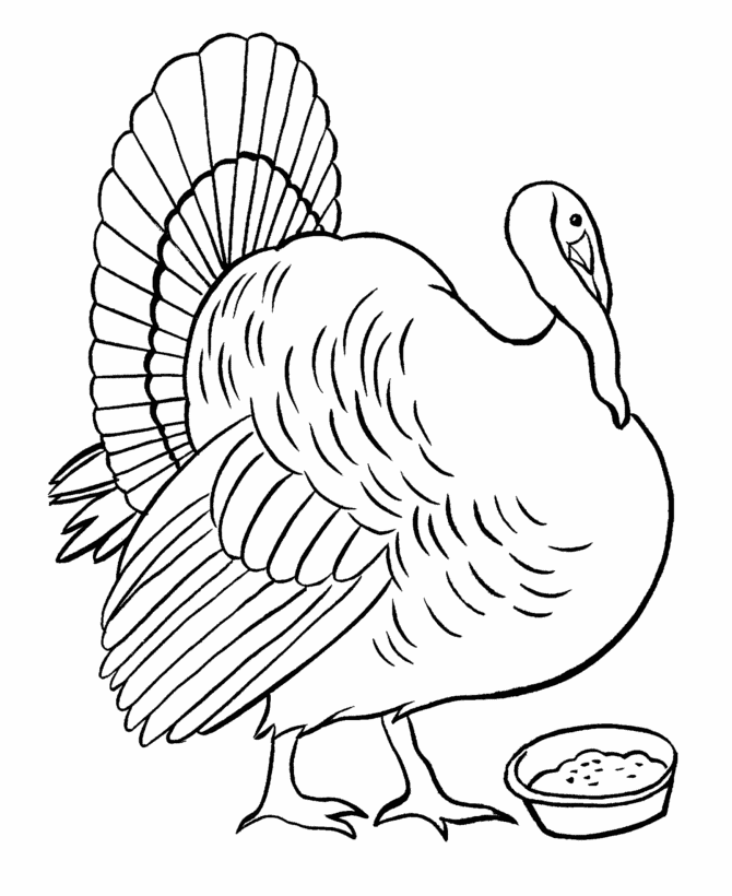  Thanksgiving Farm Turkey Coloring Page