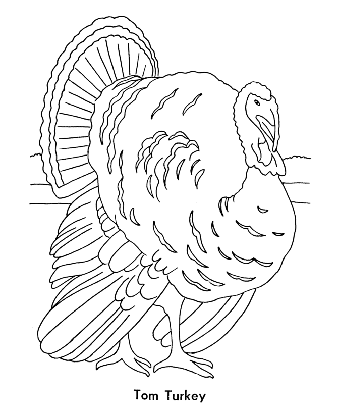  Thanksgiving Tom Turkey Coloring Page