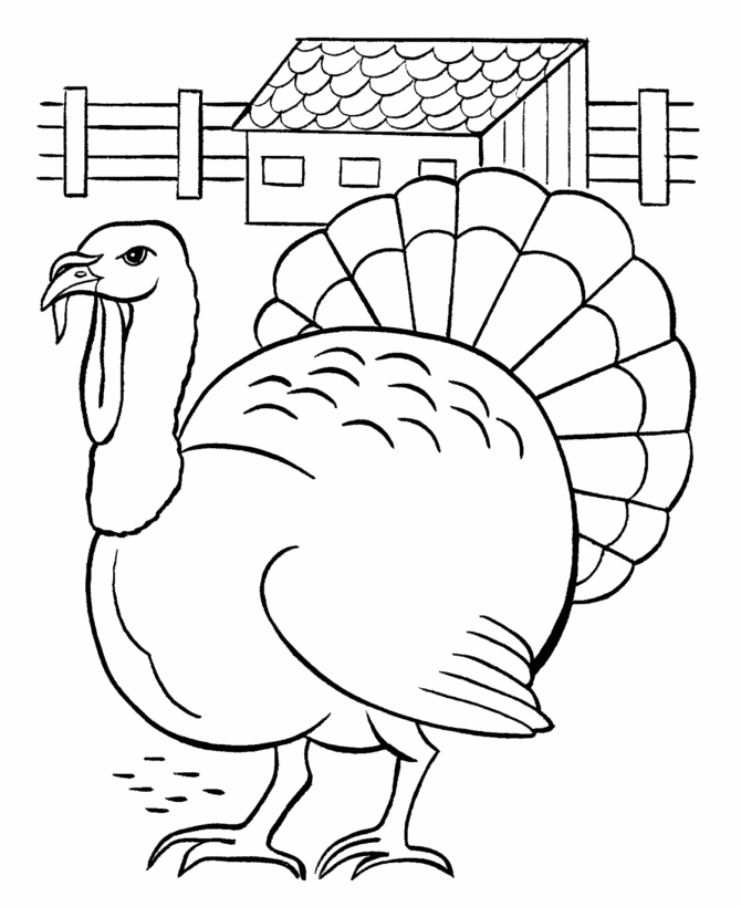  Big Thanksgiving Turkey Coloring Page