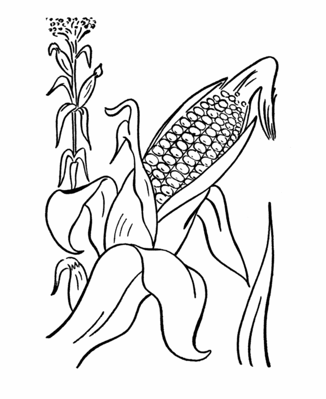  Thanksgiving Horn of Plenty Coloring Page