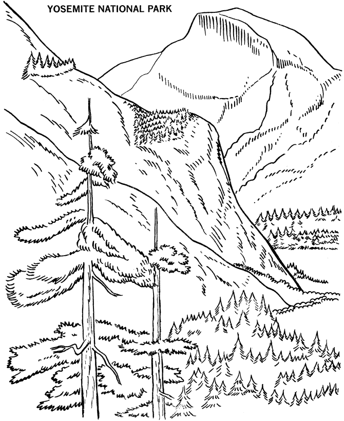  Yosemite National Park Coloring Page