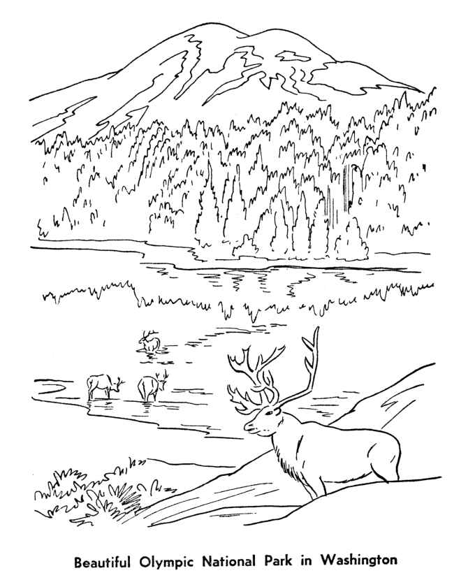  Olympic National Park Coloring Page