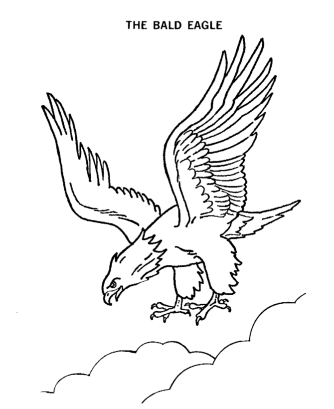  Bald Eagle in flight coloring page