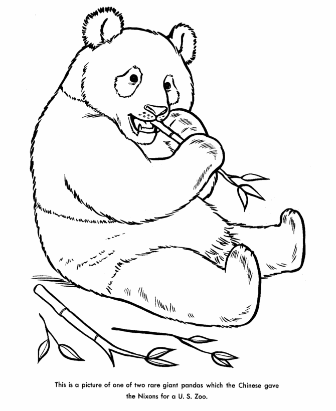  Panda Diplomacy Coloring Page